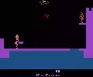 Image n° 1 - screenshots  : Lady in Wading